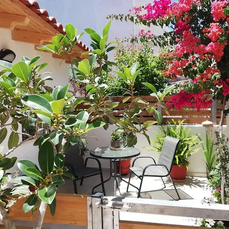 Small With Yard Apartamento