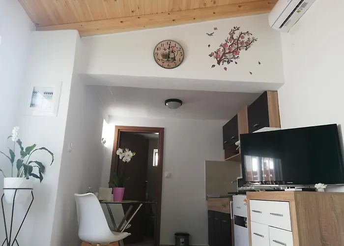 Small With Yard Appartement *