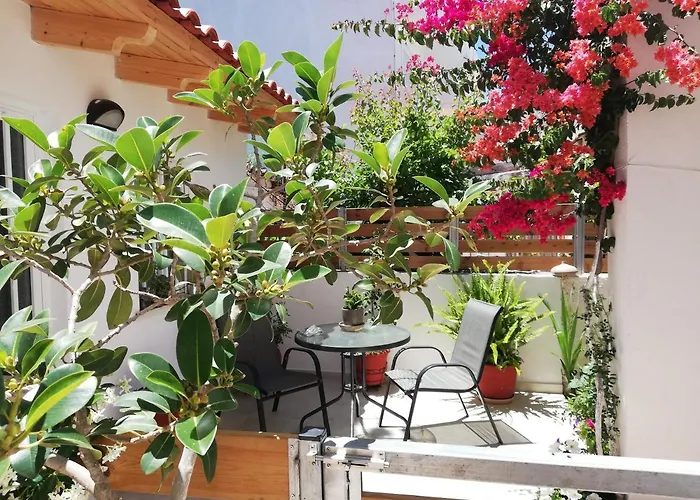 Small With Yard Apartment