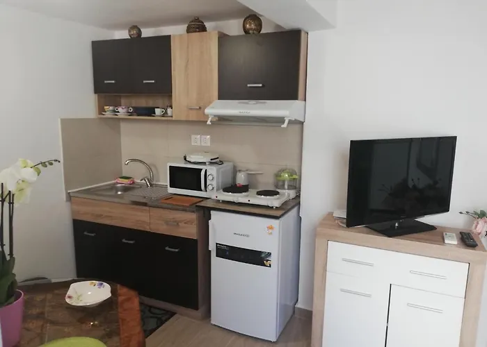 Apartment Small With Yard *