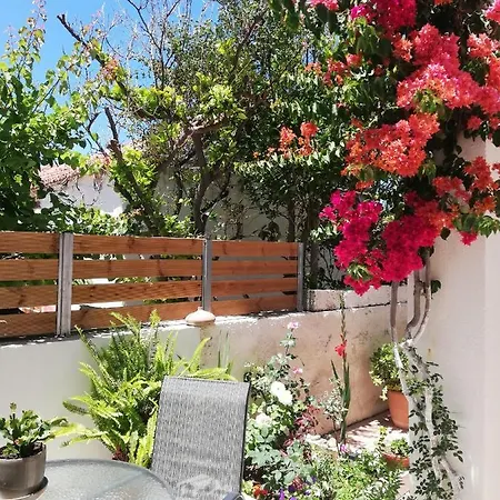 Apartment Small With Yard *